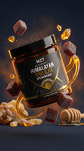 Shilajit Gummie