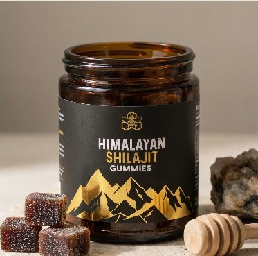 image_1770946333159_0.png__PID:1d55c73f-1a65-4f80-a631-1d1c124991fc